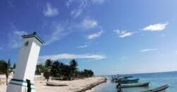 Oceanfront Studio in Puerto Morelos