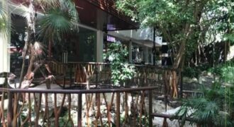 Commercial  for rent in Playa del Carmen