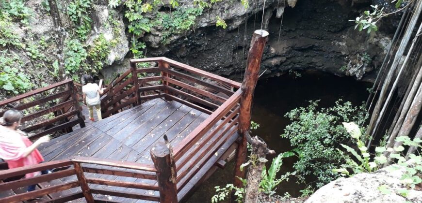 Lot in the heart of Tulum Jungle