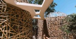 Treehouse Design Estudios