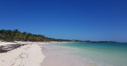 Residential Lots / XPUHA BEACH, RIVIERA MAYA